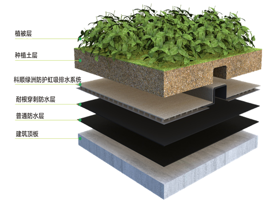 種植屋面